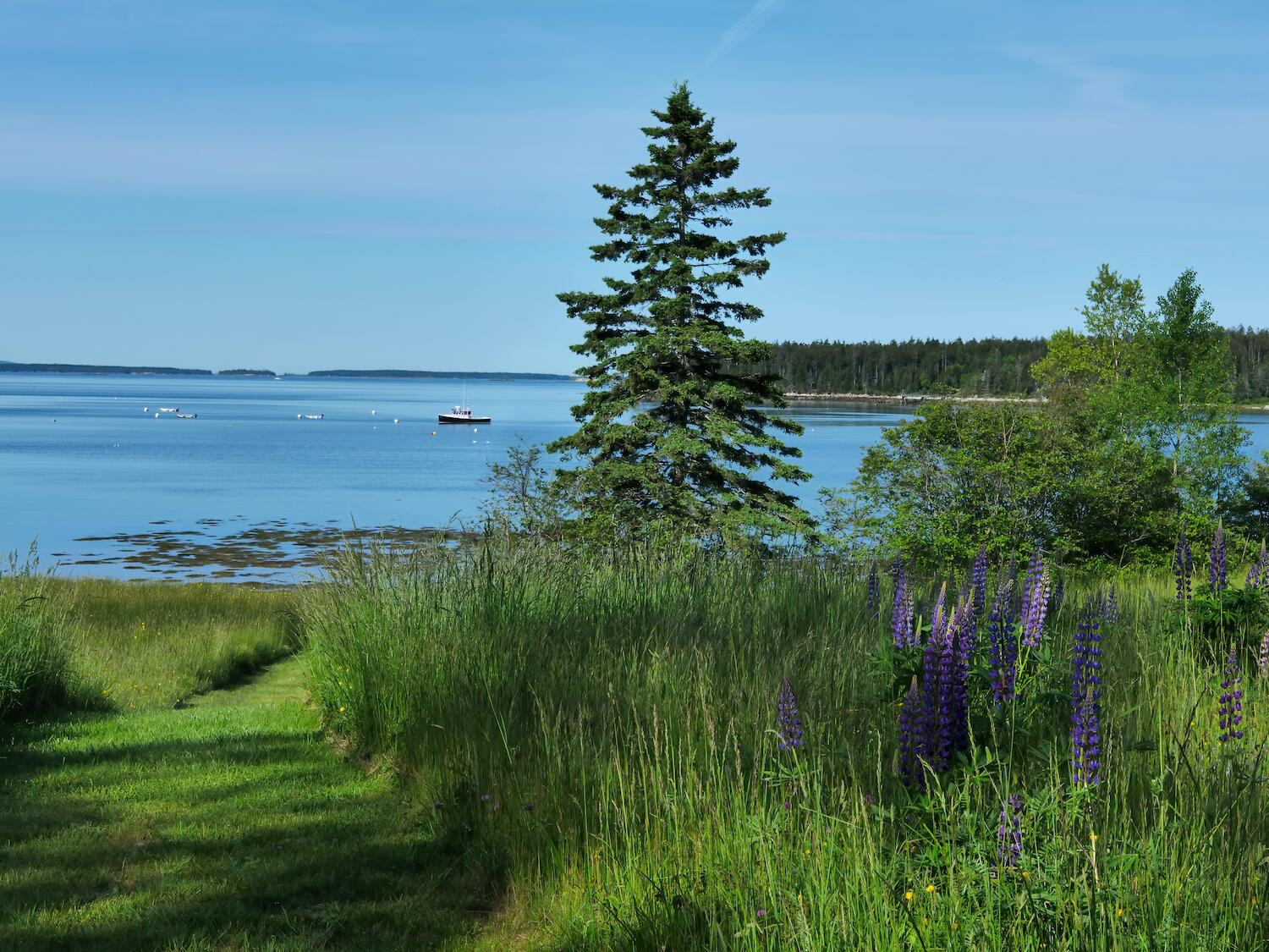 10 Bass Road Tremont, ME 04612 - Photo 14 of 37 33-258 Clark Point Road 2-DTP