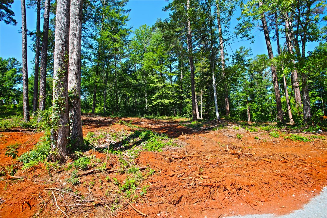 1359 Hbr Rdg Road Seneca, SC 29672 - Photo 17 of 39 A spacious, tree-lined parcel ready for development in a verdant setting.