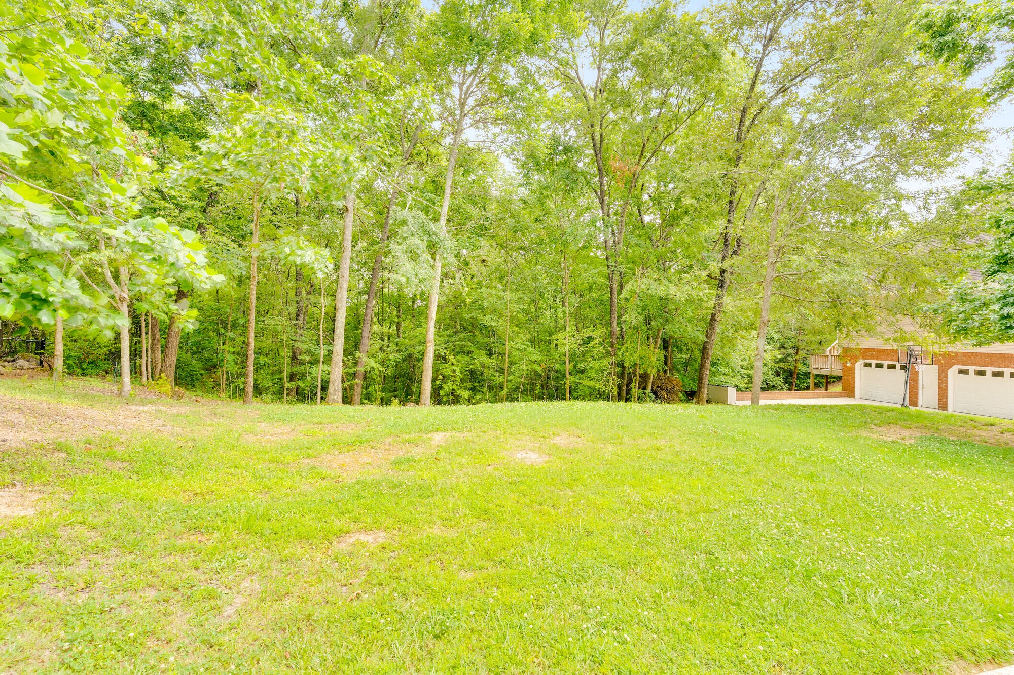 0 Roundtree Court Flintstone, GA 30725 - Photo 2 of 4 Gallery Image 2