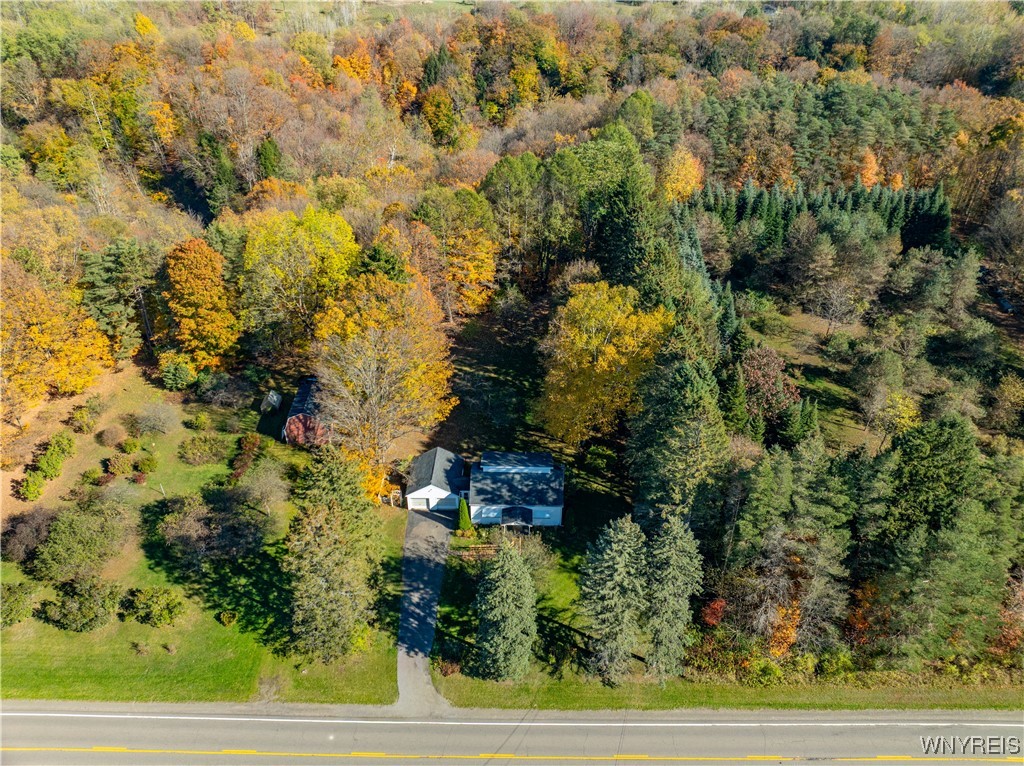 12629 Savage Road Sardinia, NY 14134 - Photo 12 of 41