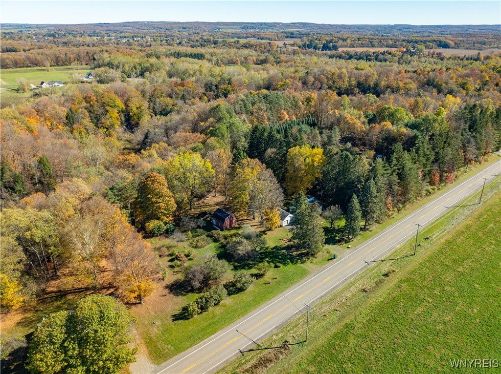 12629 Savage Road Sardinia, NY 14134 - Photo 13 of 41