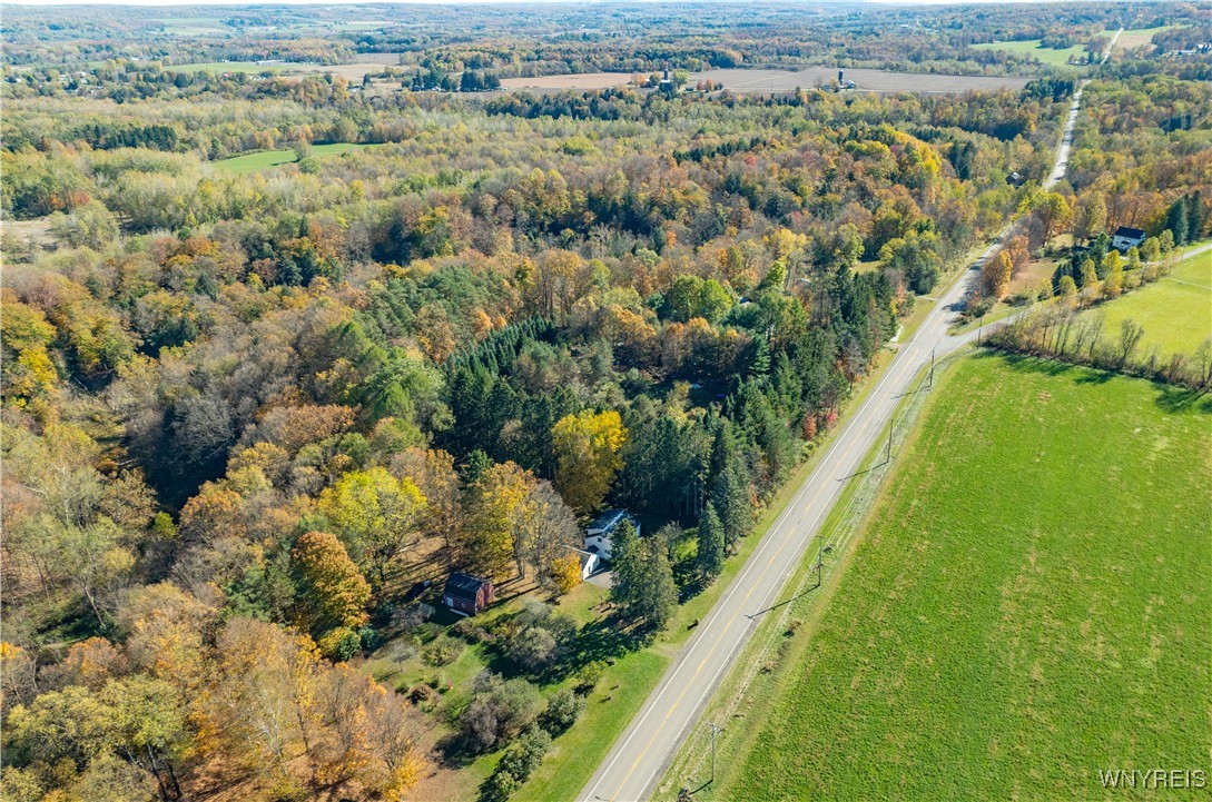 12629 Savage Road Sardinia, NY 14134 - Photo 15 of 41