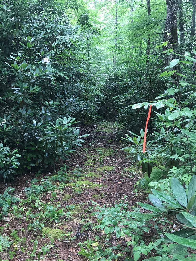 Tbd Ruffed Grouse Road Cashiers, NC 28717 - Photo 2 of 11 Gallery Image 2