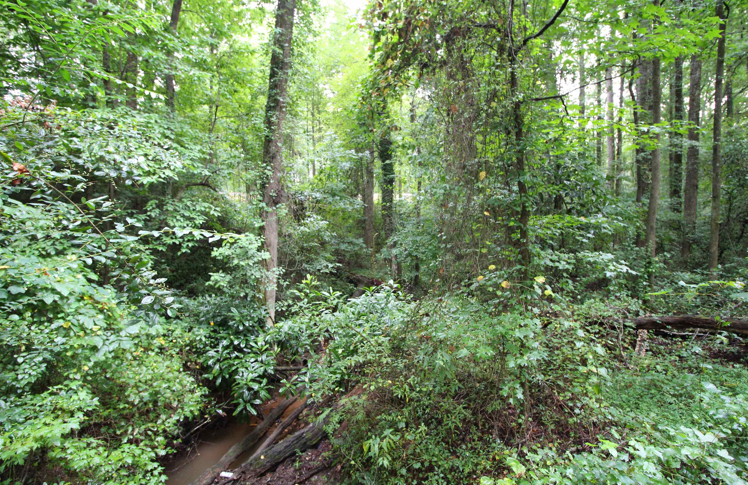 0 Cardinal Street Inman, SC 29349 - Photo 3 of 4