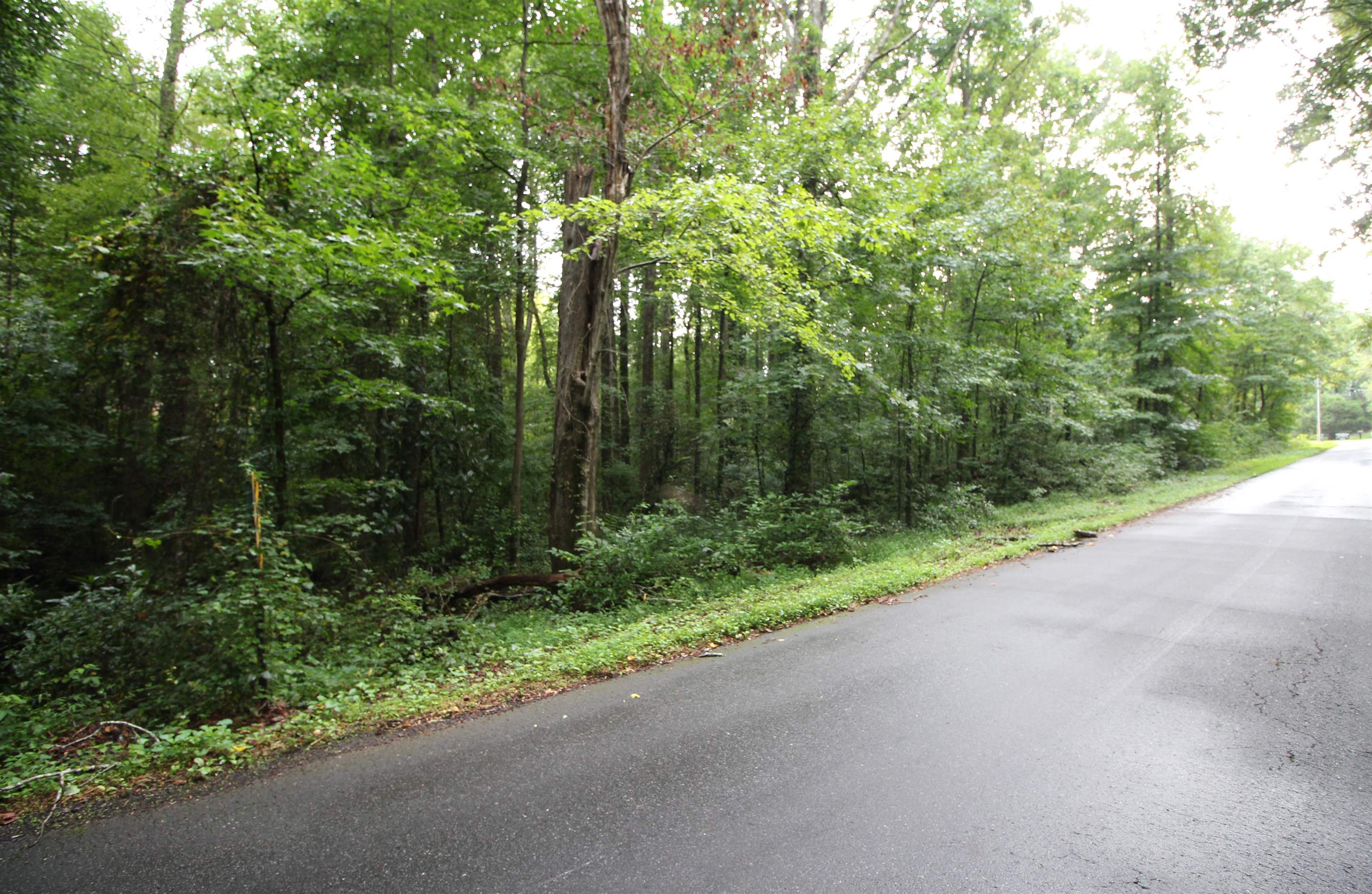 0 Cardinal Street Inman, SC 29349 - Photo 4 of 4