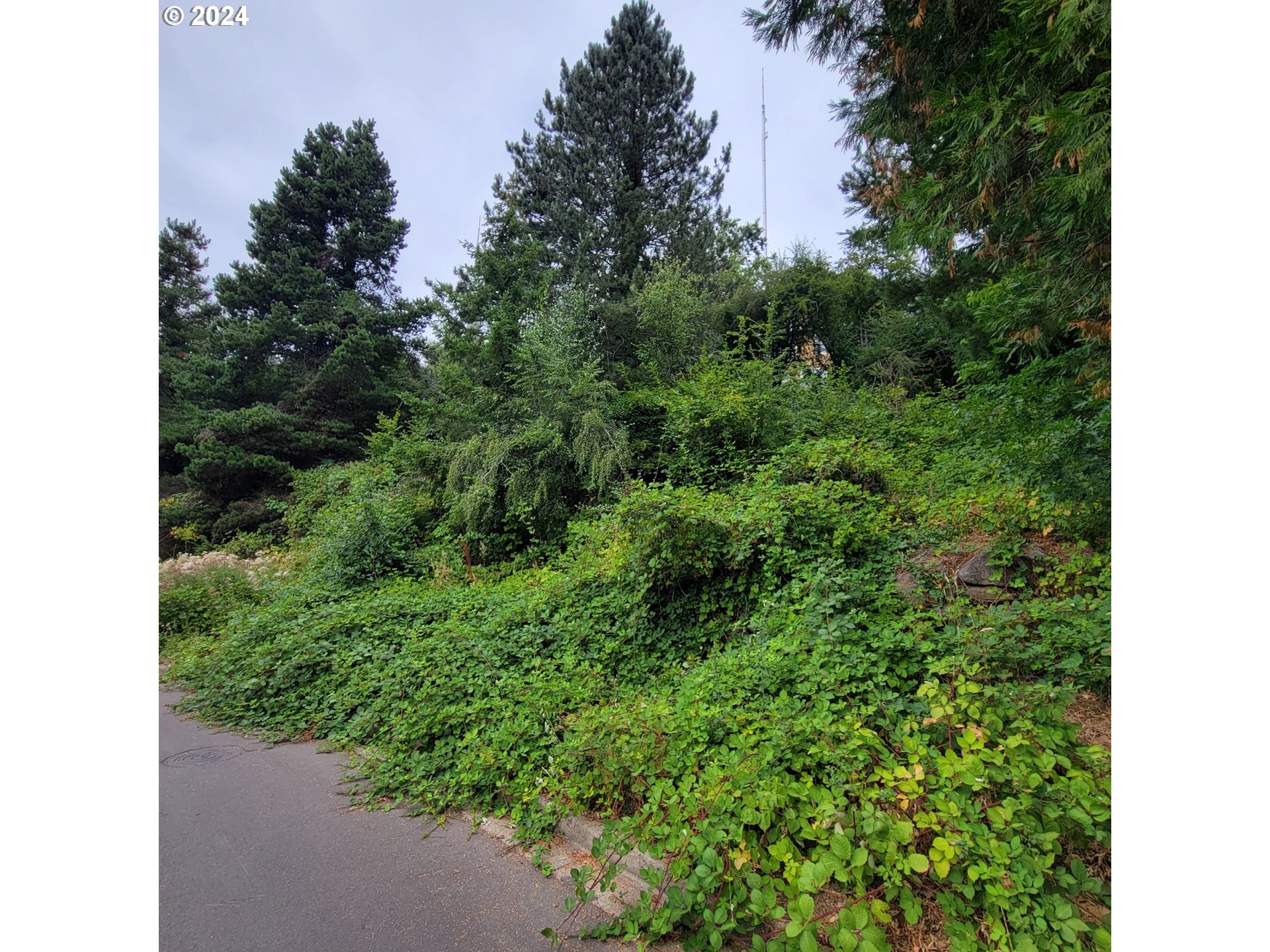 6865 Southwest Windemere Loop Portland, OR 97225 - Photo 3 of 4