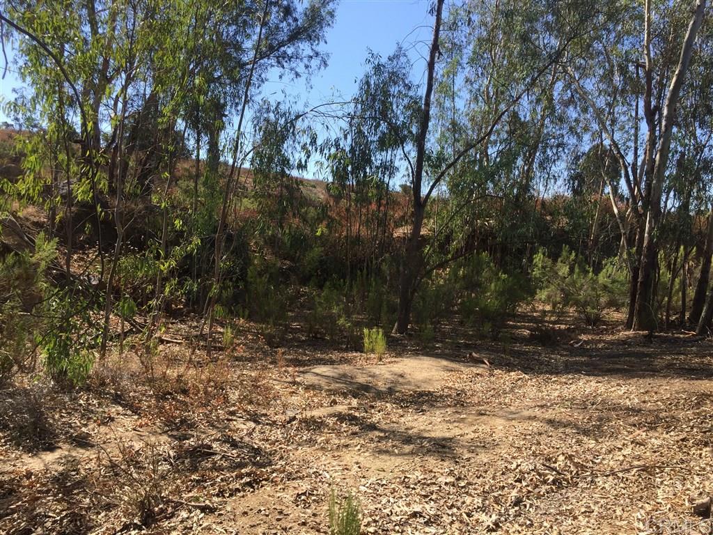 139 Burma Road Ramona, CA 92065 - Photo 3 of 4