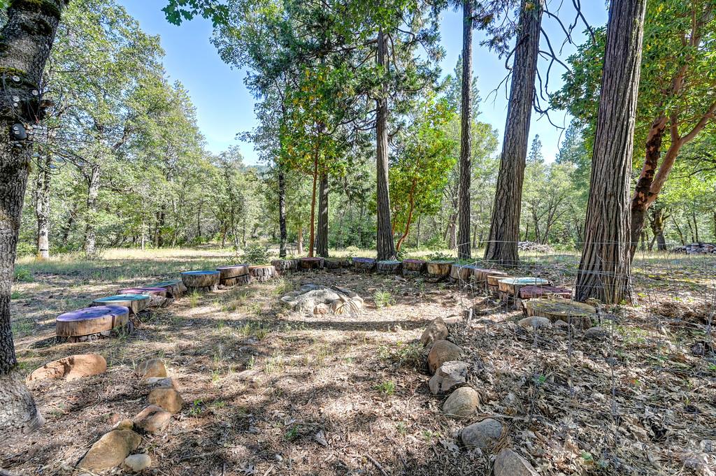 17008 Bloomfield Ridge Place Nevada City, CA 95959 - Photo 37 of 52