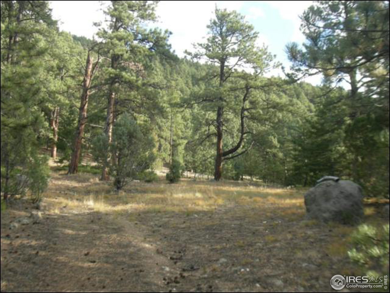 1488 Gold Run Road Boulder, CO 80302 - Photo 6 of 17 a view of dirt yard with a trees