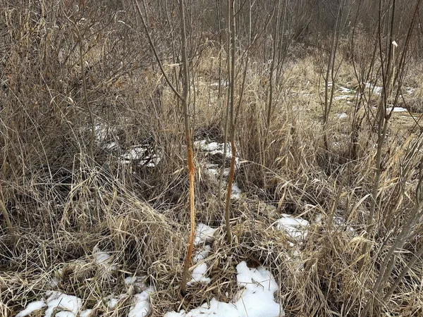 $450,000 | 68.73-acres South Sleepy Hollow Road, Gays Mills, WI 54631