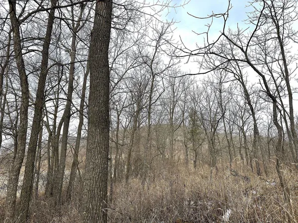 $450,000 | 68.73-acres South Sleepy Hollow Road, Gays Mills, WI 54631