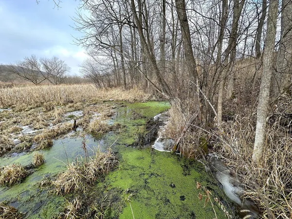 $450,000 | 68.73-acres South Sleepy Hollow Road, Gays Mills, WI 54631