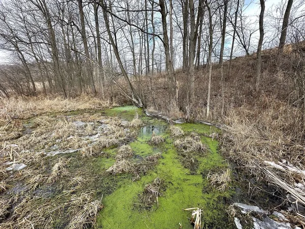 $450,000 | 68.73-acres South Sleepy Hollow Road, Gays Mills, WI 54631