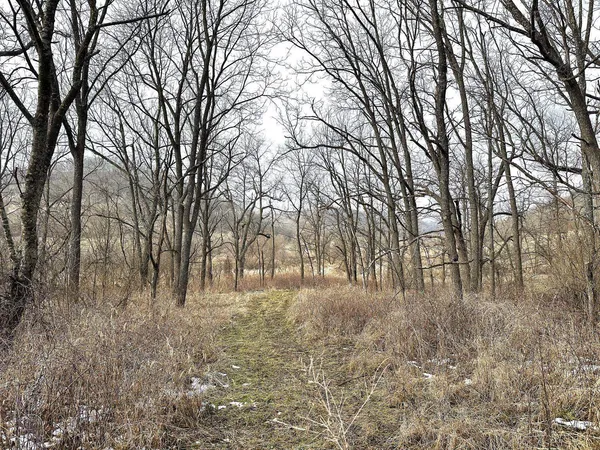 $450,000 | 68.73-acres South Sleepy Hollow Road, Gays Mills, WI 54631