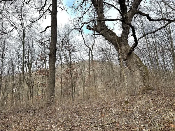 $450,000 | 68.73-acres South Sleepy Hollow Road, Gays Mills, WI 54631