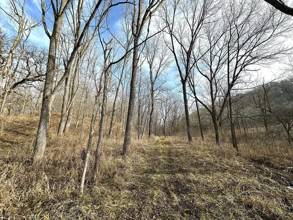 $450,000 | 68.73-acres South Sleepy Hollow Road, Gays Mills, WI 54631
