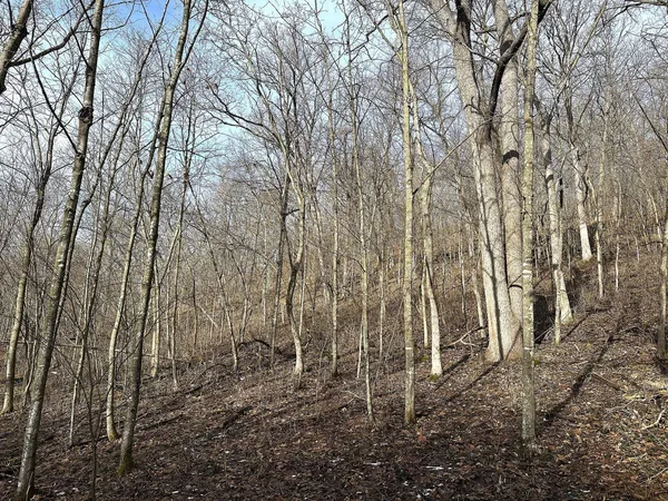 $450,000 | 68.73-acres South Sleepy Hollow Road, Gays Mills, WI 54631