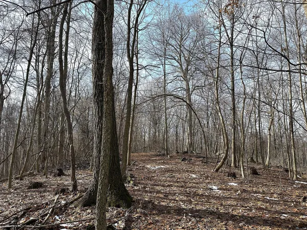 $450,000 | 68.73-acres South Sleepy Hollow Road, Gays Mills, WI 54631