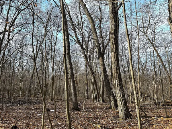 $450,000 | 68.73-acres South Sleepy Hollow Road, Gays Mills, WI 54631