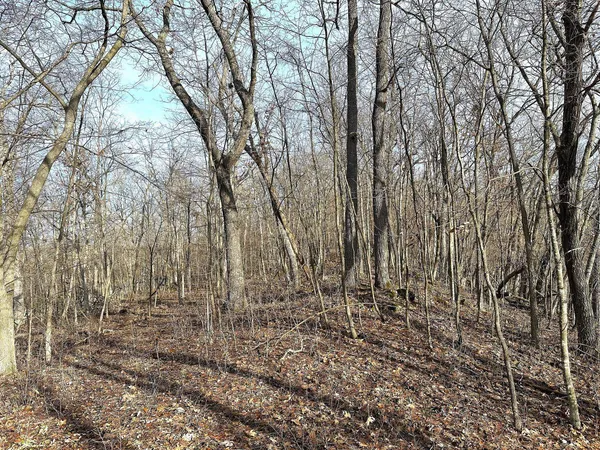 $450,000 | 68.73-acres South Sleepy Hollow Road, Gays Mills, WI 54631