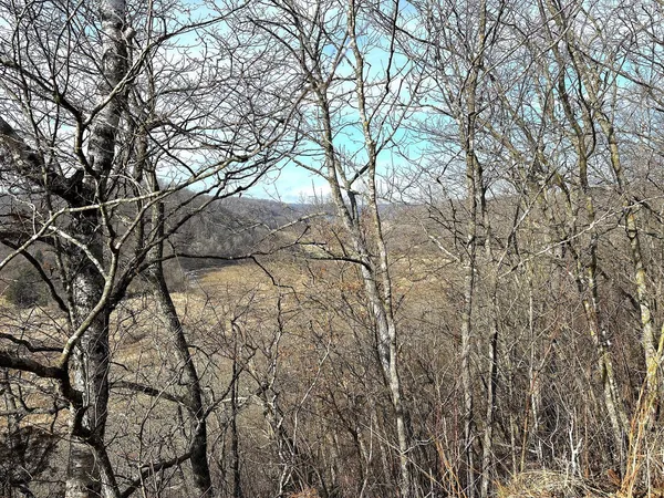 $450,000 | 68.73-acres South Sleepy Hollow Road, Gays Mills, WI 54631