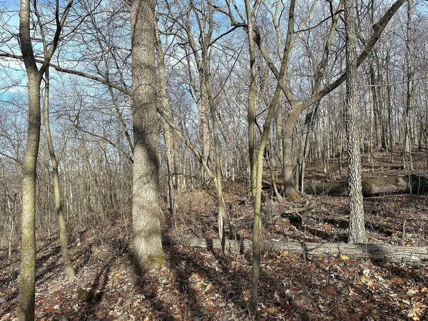 $450,000 | 68.73-acres South Sleepy Hollow Road, Gays Mills, WI 54631