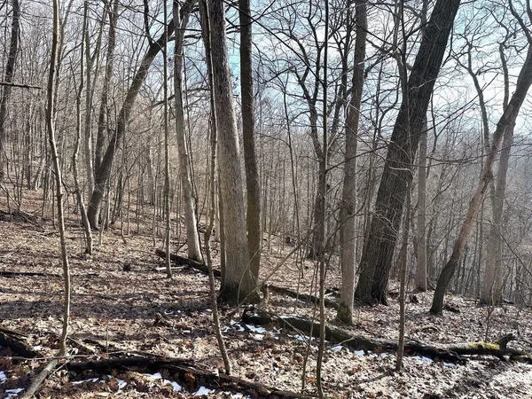 $450,000 | 68.73-acres South Sleepy Hollow Road, Gays Mills, WI 54631