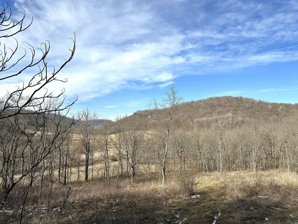 $450,000 | 68.73-acres South Sleepy Hollow Road, Gays Mills, WI 54631