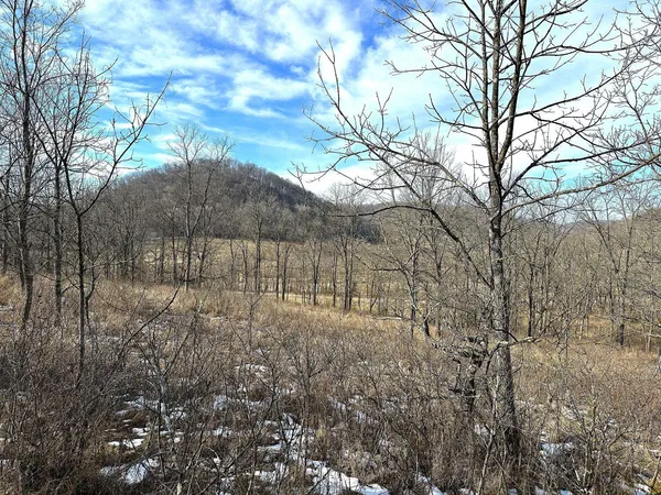 $450,000 | 68.73-acres South Sleepy Hollow Road, Gays Mills, WI 54631