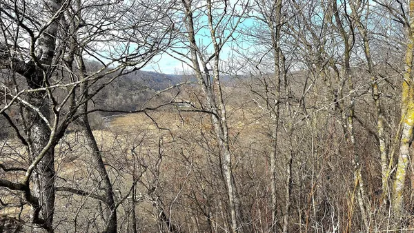 $450,000 | 68.73-acres South Sleepy Hollow Road, Gays Mills, WI 54631