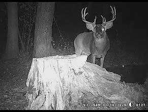 $450,000 | 68.73-acres South Sleepy Hollow Road, Gays Mills, WI 54631