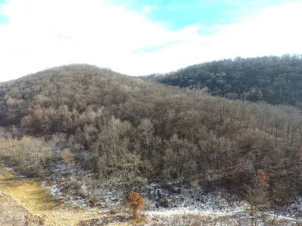 $450,000 | 68.73-acres South Sleepy Hollow Road, Gays Mills, WI 54631