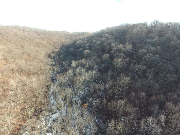 $450,000 | 68.73-acres South Sleepy Hollow Road, Gays Mills, WI 54631