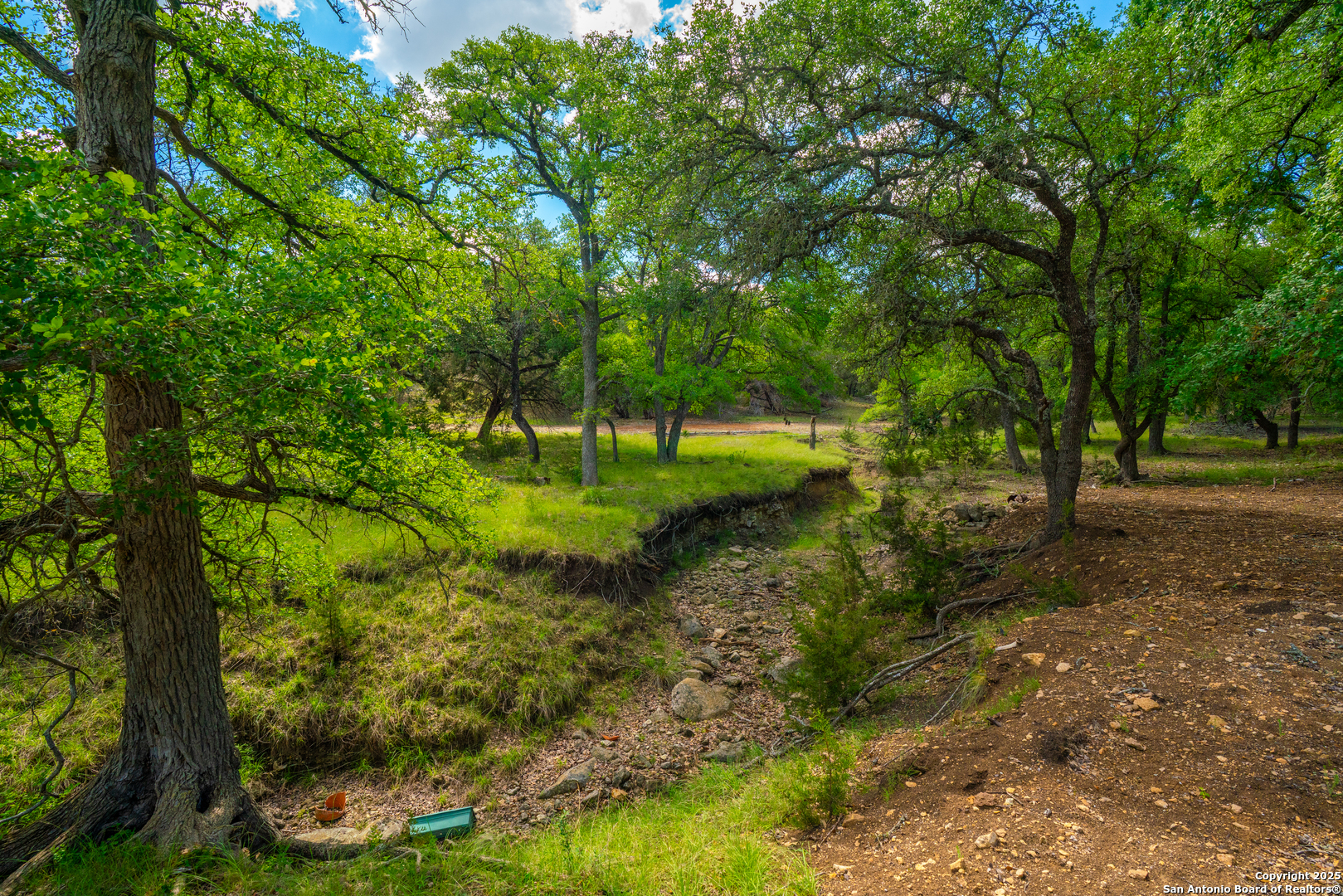 85 Waring Welfare Road Boerne, TX 78006 - Photo 11 of 28 a view of a forest with trees