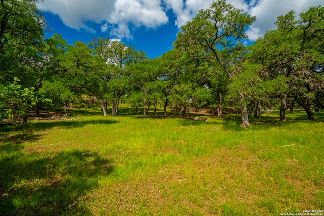 $2,150,000 | 85 Waring Welfare Road, Boerne, TX 78006