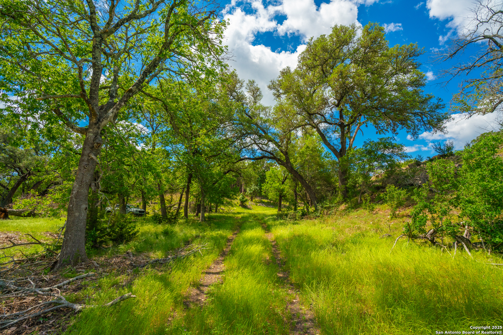 85 Waring Welfare Road Boerne, TX 78006 - Photo 12 of 28 a backyard of a house with a yard and large tree