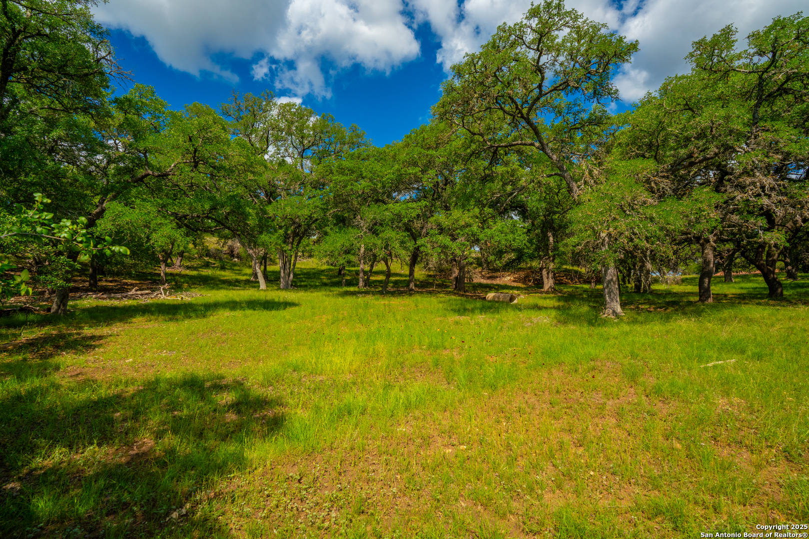 85 Waring Welfare Road Boerne, TX 78006 - Photo 13 of 28 a view of swimming pool with yard