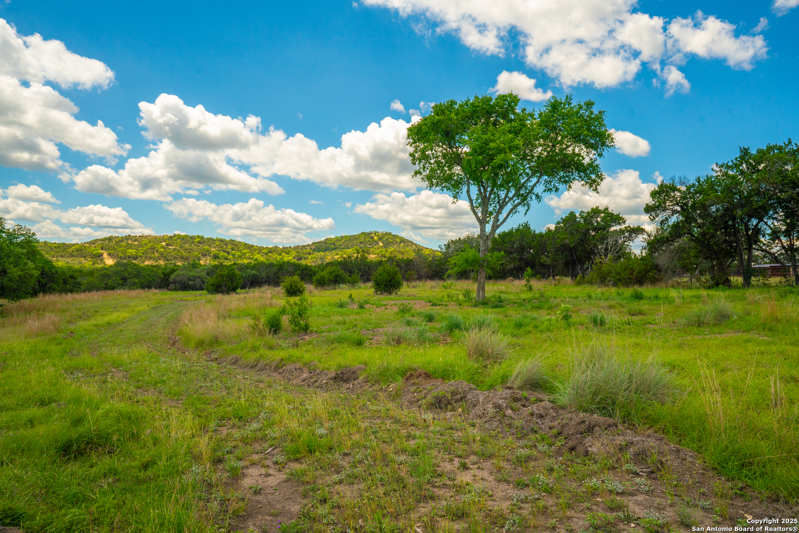 85 Waring Welfare Road Boerne, TX 78006 - Photo 14 of 28 a view of a lake with a yard