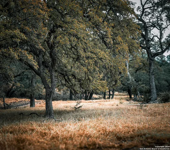 $2,150,000 | 85 Waring Welfare Road, Boerne, TX 78006