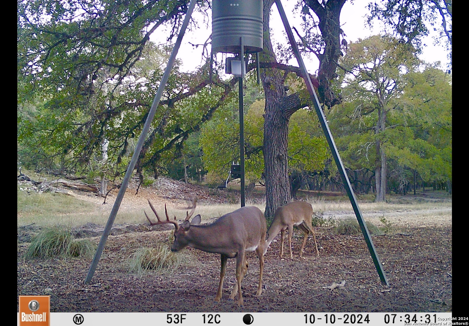 85 Waring Welfare Road Boerne, TX 78006 - Photo 21 of 28 a backyard of a house with lots of green space