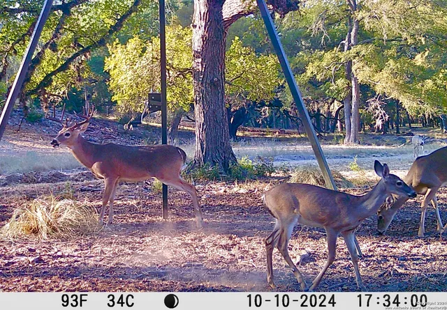 $2,150,000 | 85 Waring Welfare Road, Boerne, TX 78006