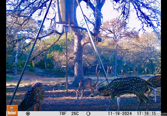 $2,150,000 | 85 Waring Welfare Road, Boerne, TX 78006