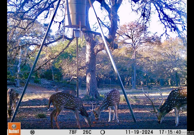 $2,150,000 | 85 Waring Welfare Road, Boerne, TX 78006