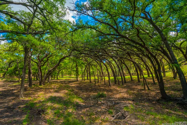 $2,150,000 | 85 Waring Welfare Road, Boerne, TX 78006