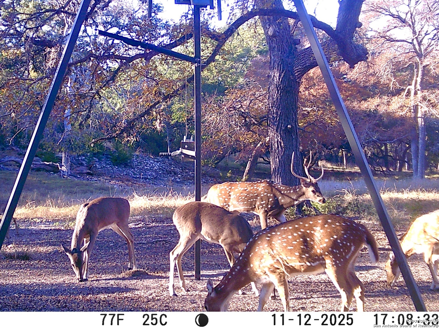 85 Waring Welfare Road Boerne, TX 78006 - Photo 5 of 28 a backyard of a house with table and chairs