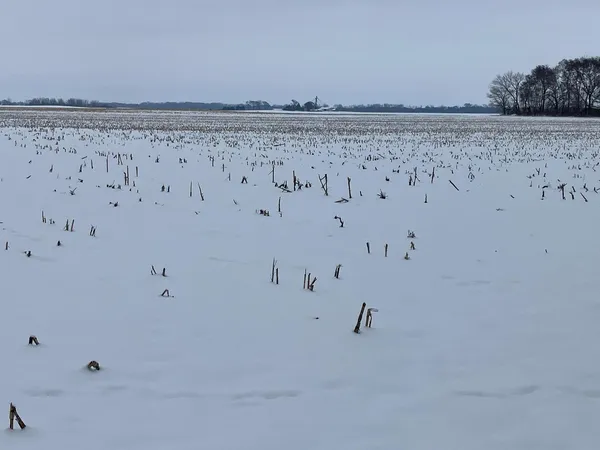 $196,690 | 0 East 2nd Street, Tampico, IL 61283