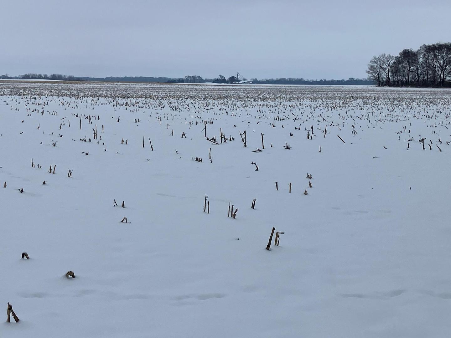 0 East 2nd Street Tampico, IL 61283 - Photo 3 of 7