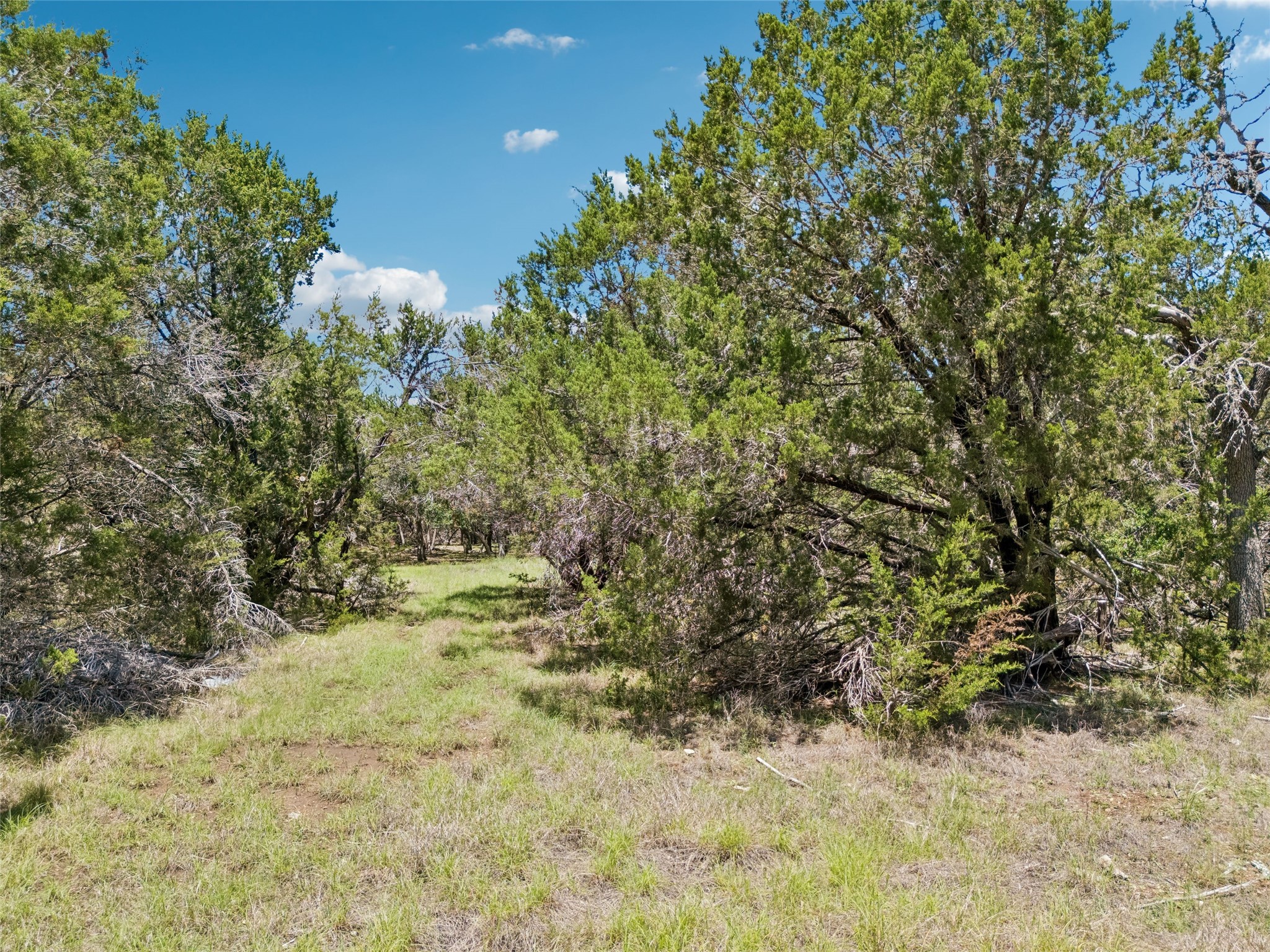 Tbd South Rainbow Ranch Road Wimberley, TX 78676 - Photo 7 of 17