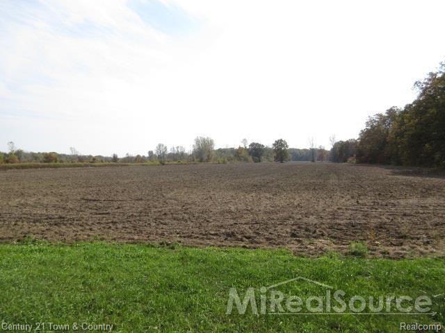 20850 29 Mile Road Ray, MI 48096 - Photo 13 of 17 31266574-13.jpg
