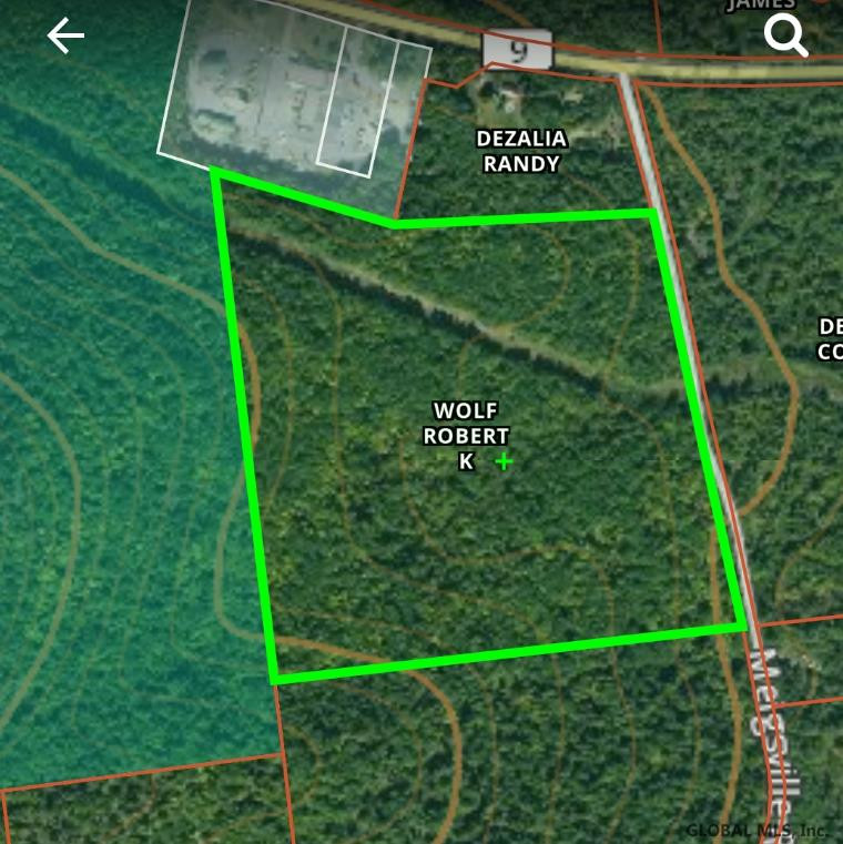 0 Meigsville Road Elizabethtown, NY 12932 - Photo 1 of 4 Photo 1